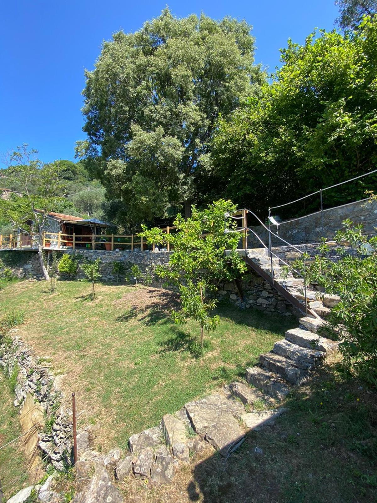 La Sosta Al Bagolaro Lejlighed Rapallo Eksteriør billede